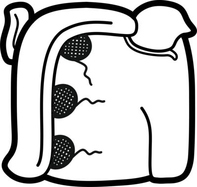 lakam